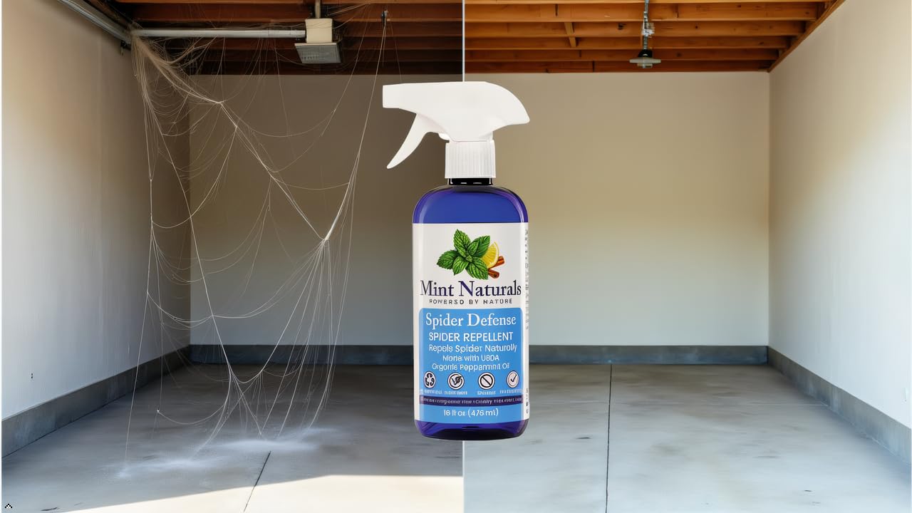 Outdoor area treated with Mint Naturals spider deterrent at entry points