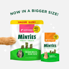 Texture croquante Minties en gros plan, friandise appréciée par les chats.