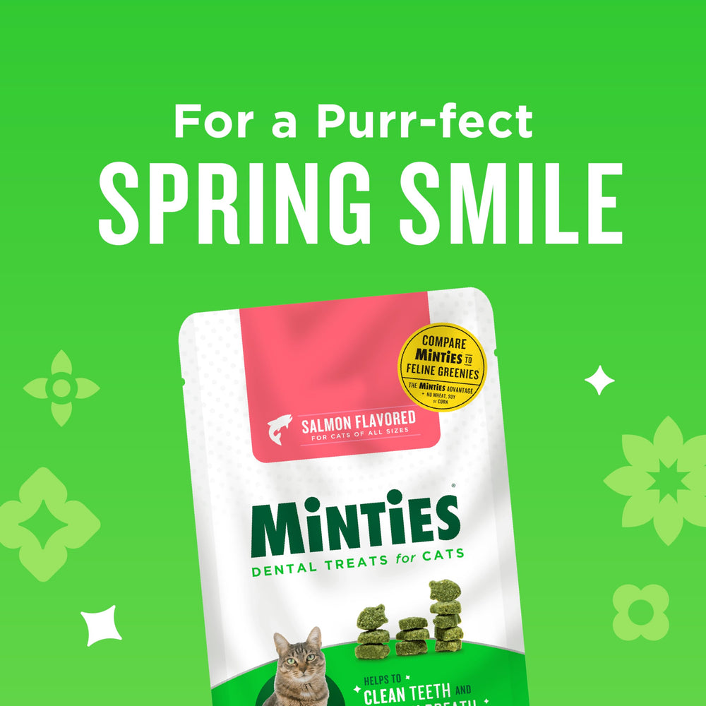  Minties Dentaires chat-saumon – arôme naturel apprécié du chat
