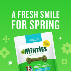 Minties dental chews bag open with treats visible for daily use.