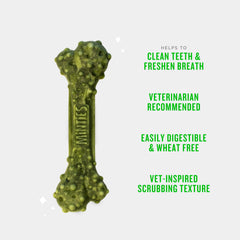 Minties dental chews large dog bones breath freshness closeup highlights mint flavor