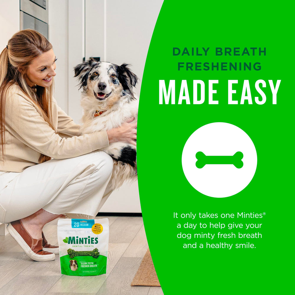Minties large-dog friendly chew size shown beside a content canine.
