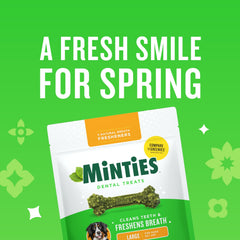 Minties dental chew texture close-up shows ridges that scrub teeth during chewing.