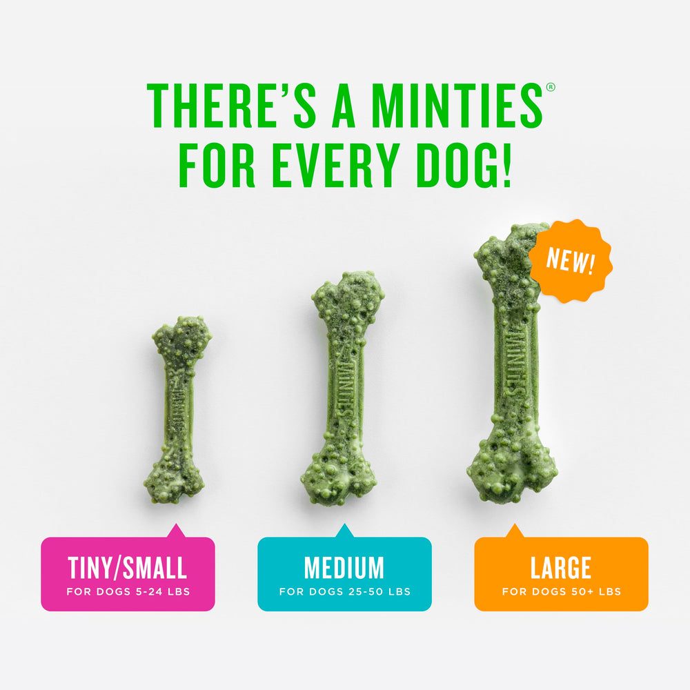 Minties dental chews USA-made seal signals domestic production.