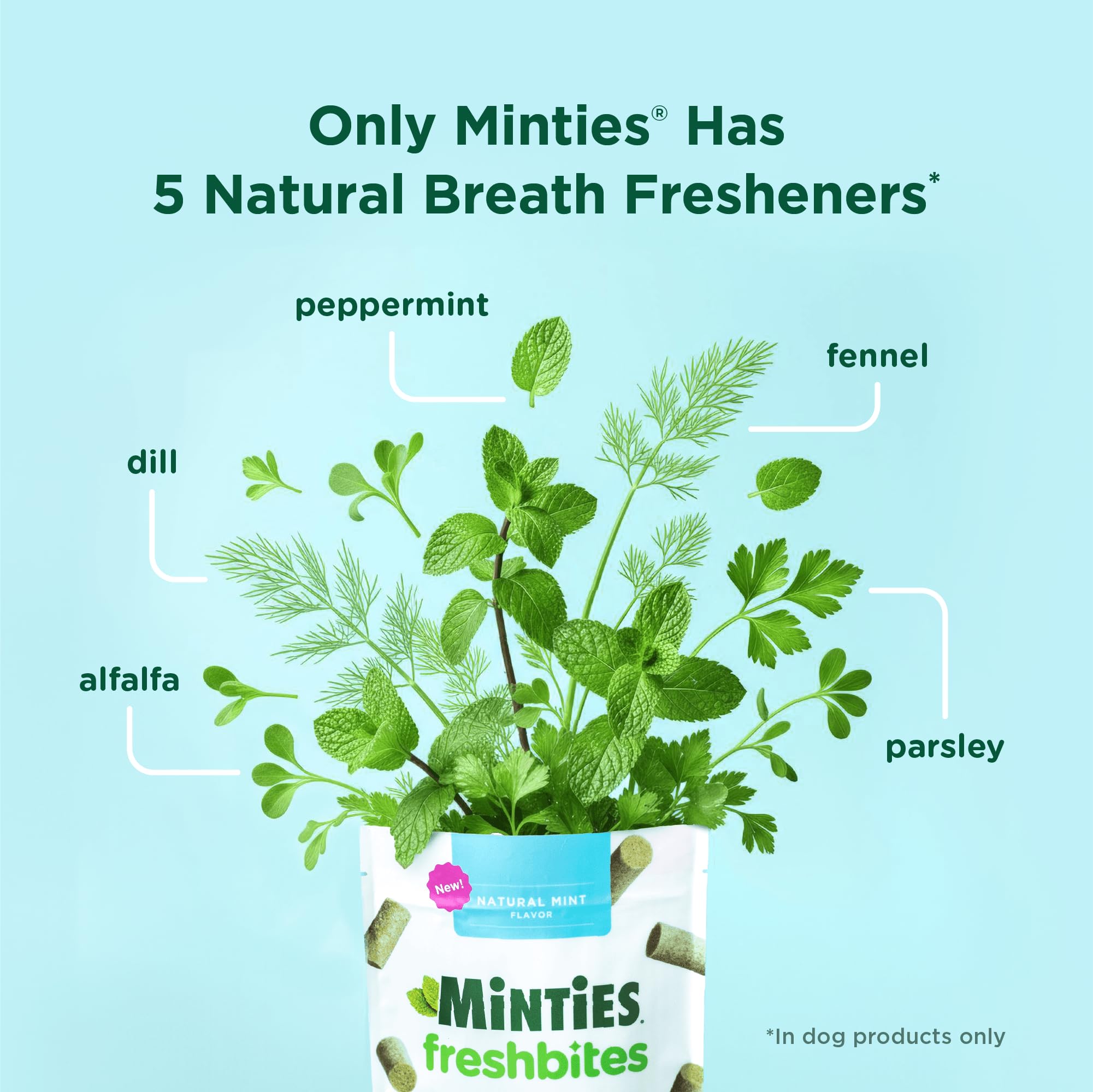 Minties FreshBites after-meal breath refresh shown.