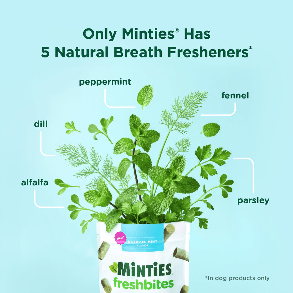 Minties FreshBites after-meal breath refresh shown.