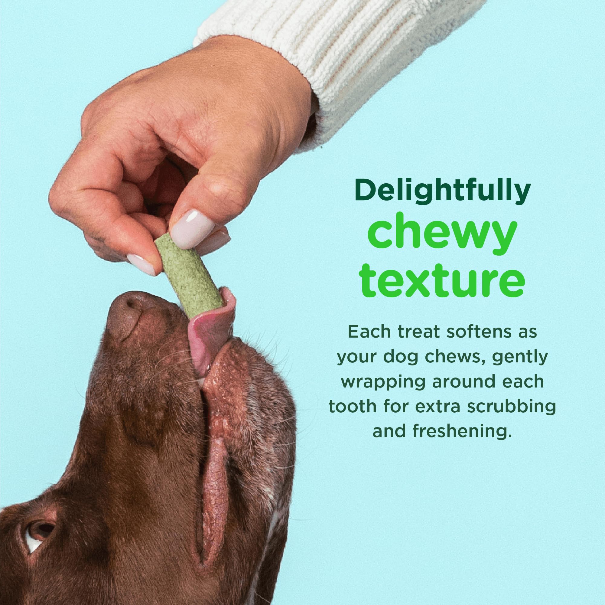 Minties FreshBites chicken-flavor dental treat appeals to dogs.