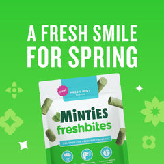 Minties FreshBites soft chewy texture shown for easy chewing.