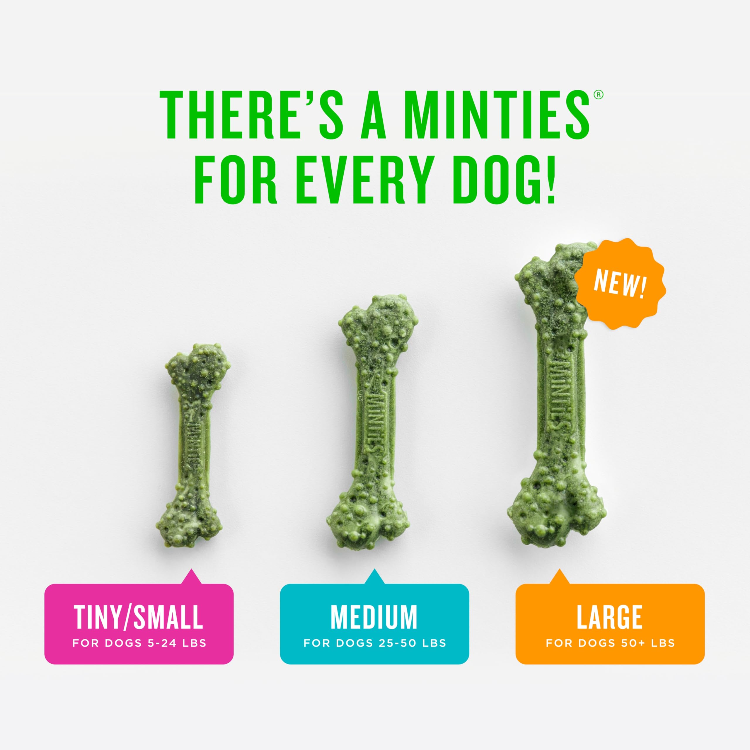 Minties USA-made dental treats on kitchen counter.