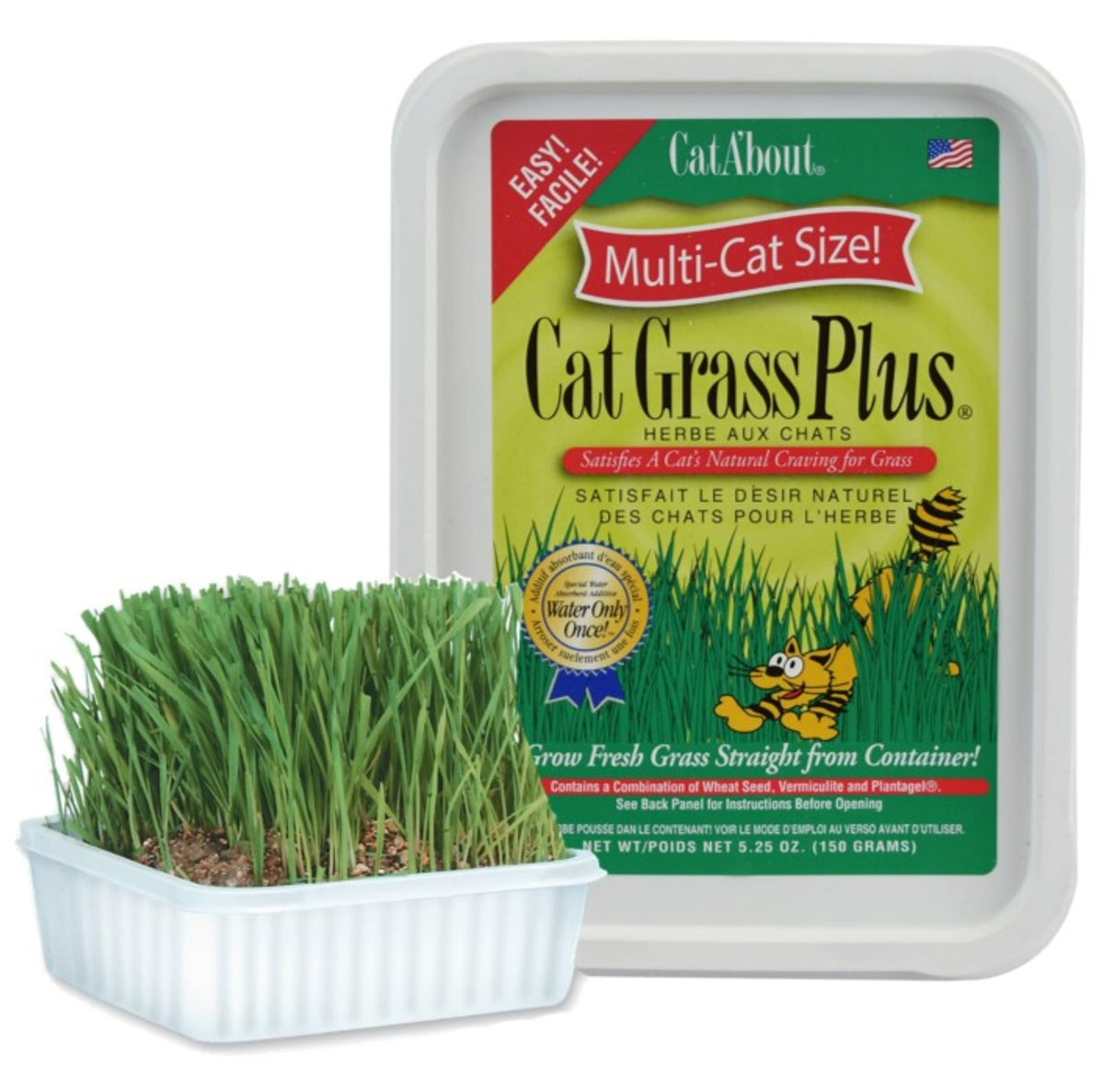 Miracle Care Cat A'bout Cat Grass Kit packaging, ready to grow indoors.