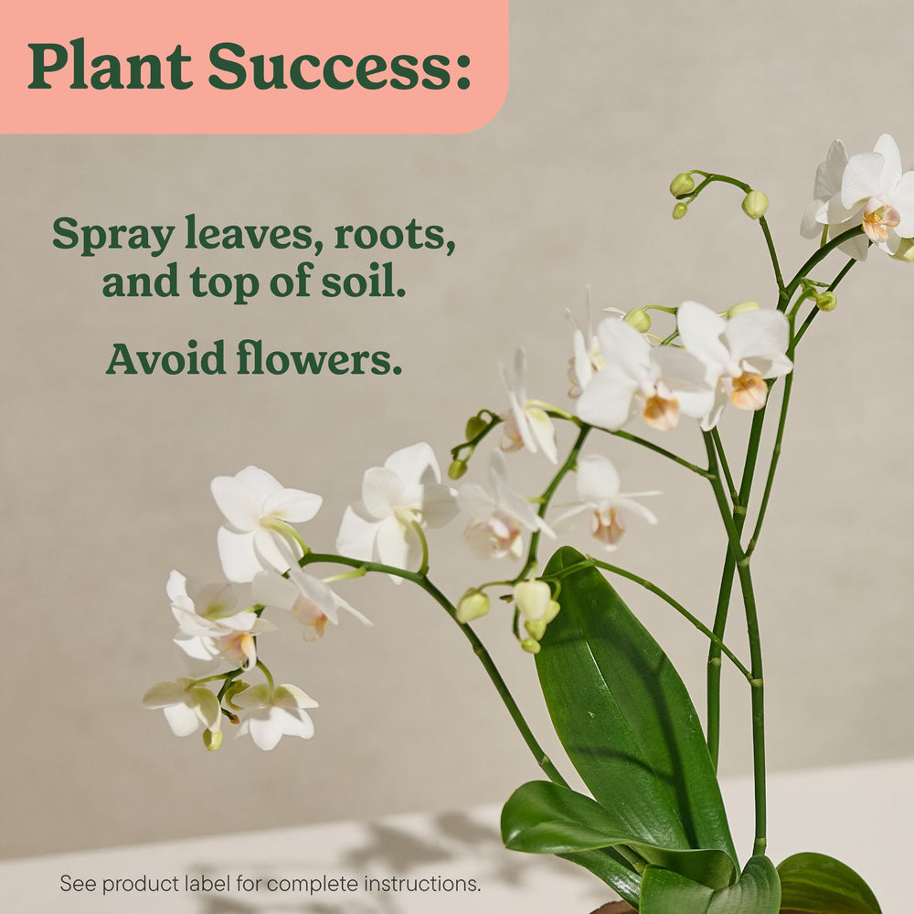 Miracle-Gro 3-bottle-pack conveys bundle value for orchids