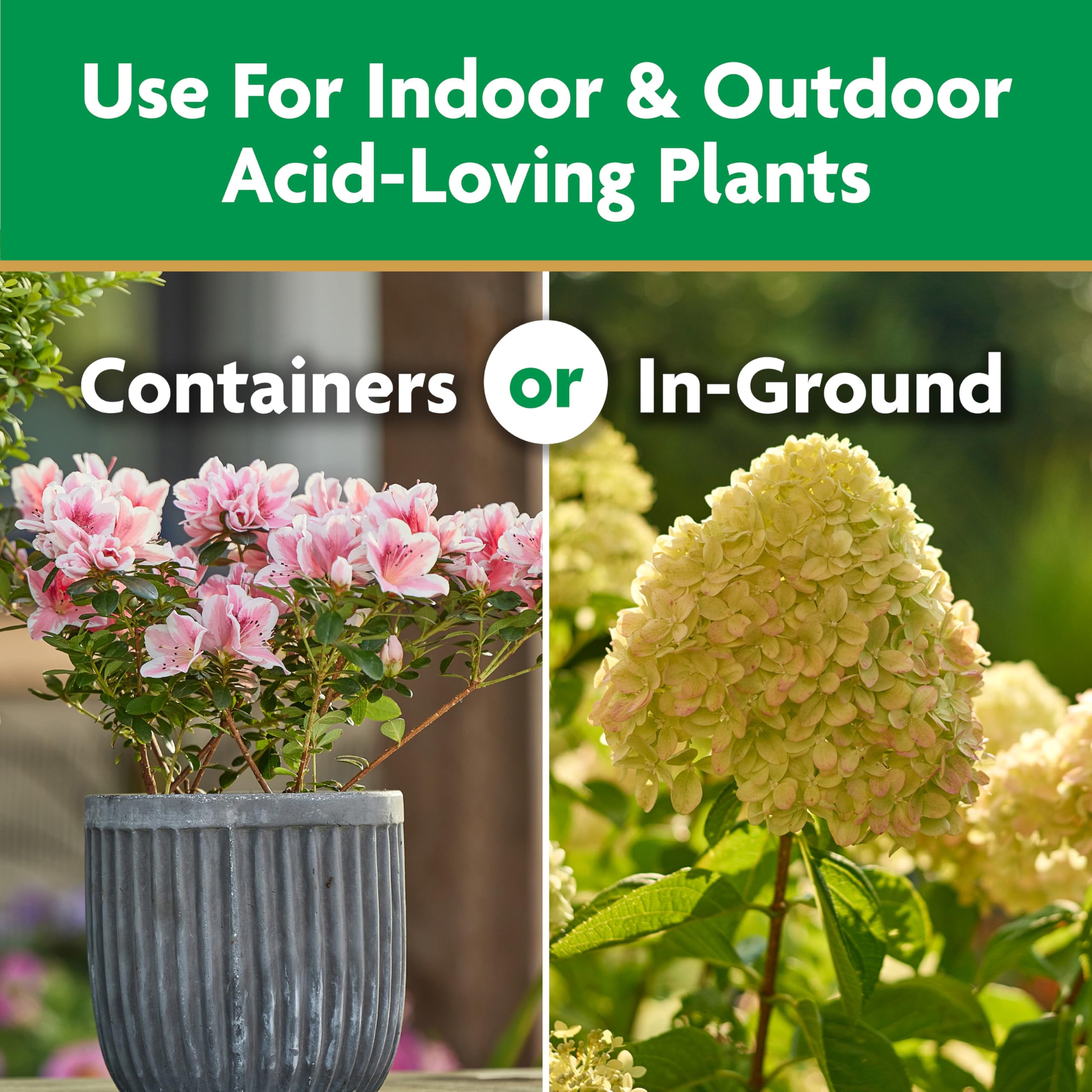 Miracle-Gro 5 lb bag label ready to feed acid-loving plants.