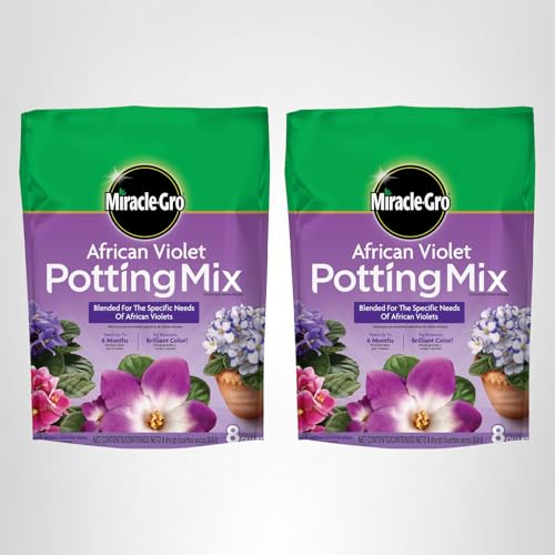 Indoor or outdoor container gardening with Miracle-Gro African Violet mix for violets.