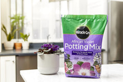 Indoor container setup with Miracle-Gro African Violet Potting Mix for repotting indoors.