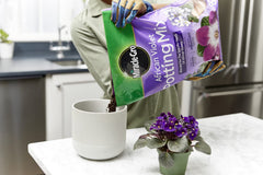 Close-up of Miracle-Gro African Violet Potting Mix texture showing loamy balance.