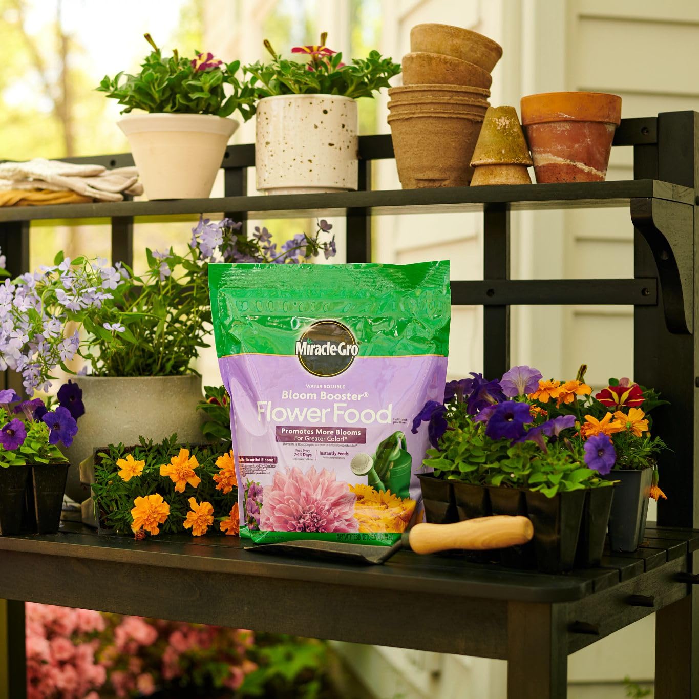 Miracle-Gro Bloom Booster container plants thriving with richer blooms