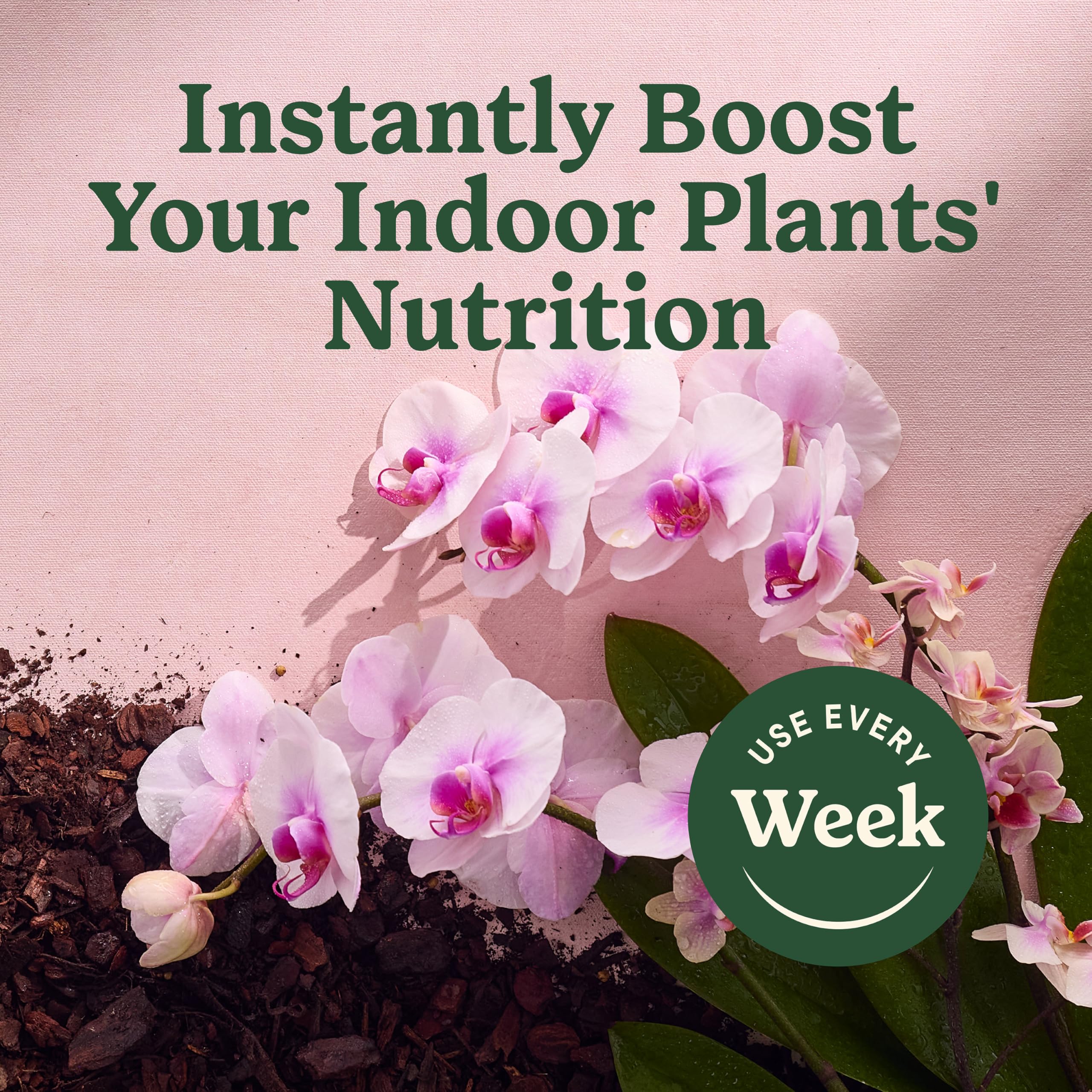 Miracle-Gro bottle label clarity emphasizes simple use