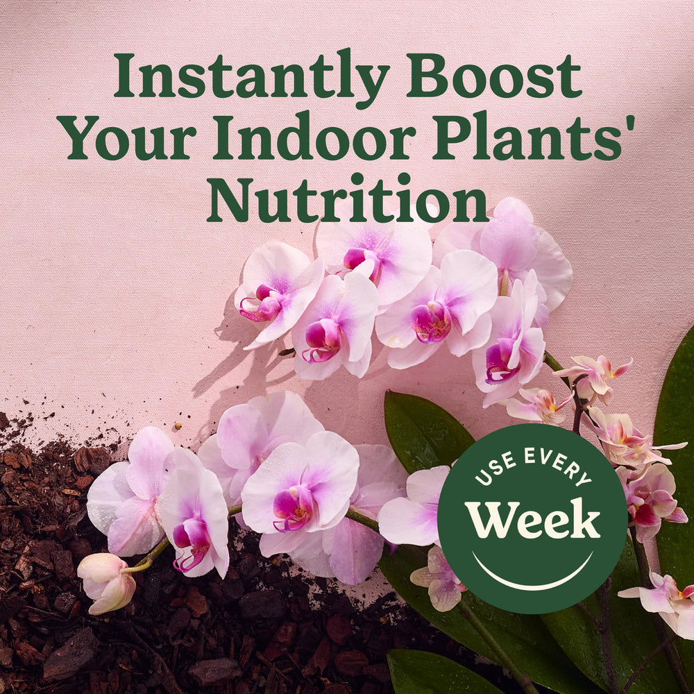 Miracle-Gro bottle label clarity emphasizes simple use