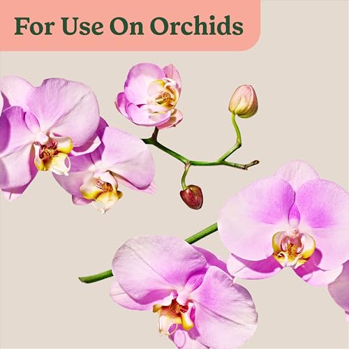 Miracle-Gro compact packaging fits small orchid shelves