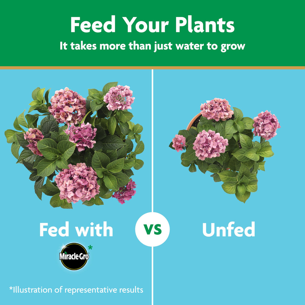 Mixing Miracle-Gro in water for garden use across large beds.