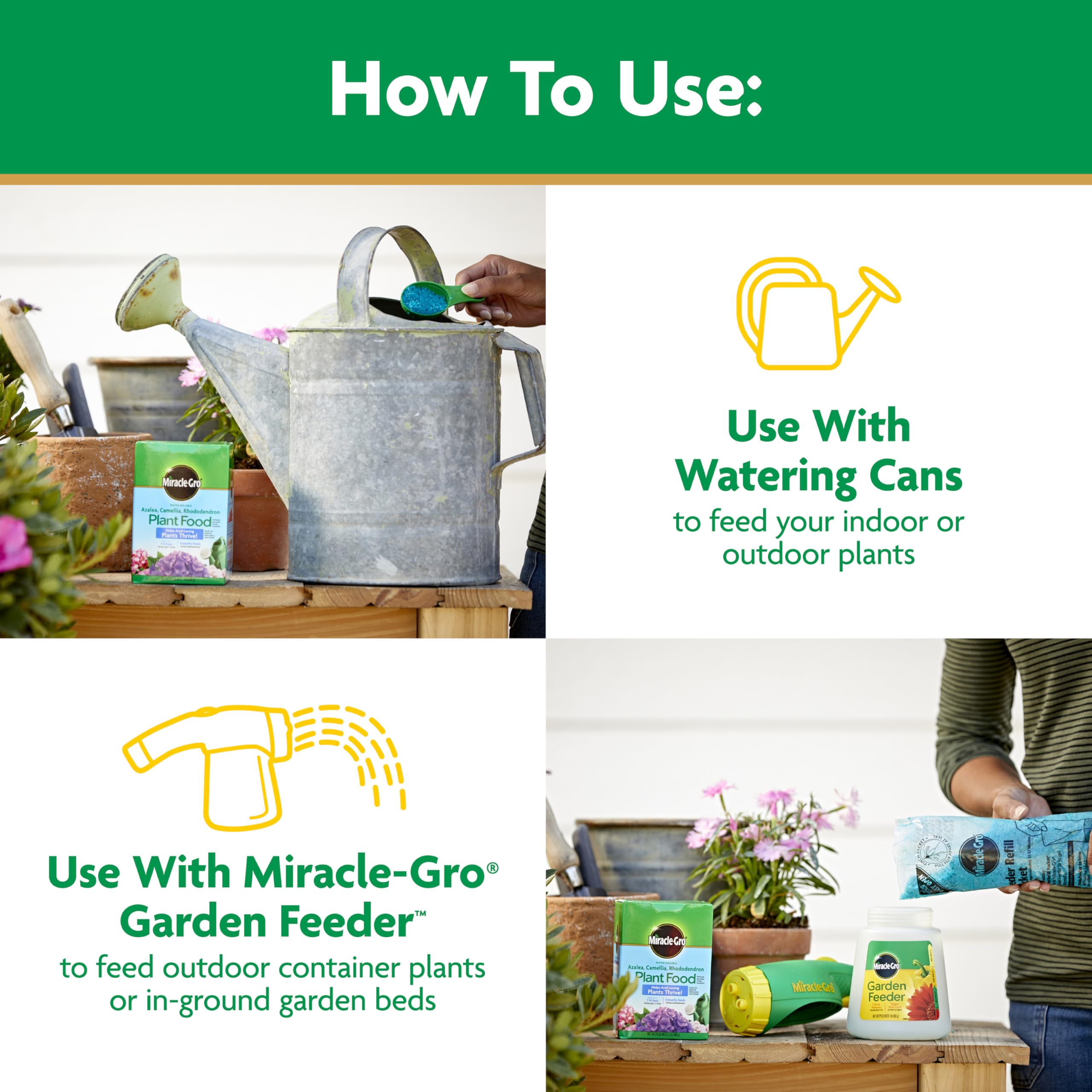 Dissolving Miracle-Gro in water for easy indoor feeding.
