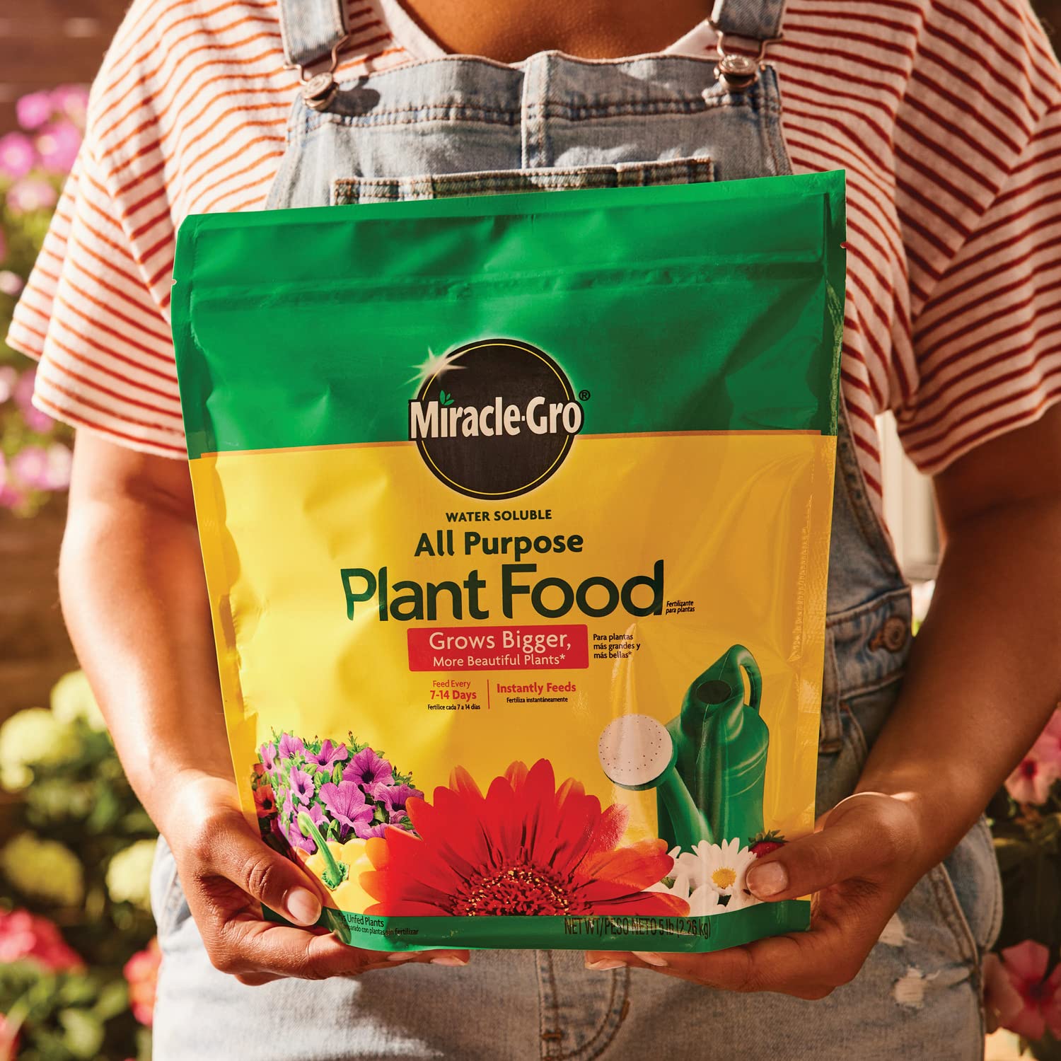 Miracle-Gro dissolving in water to feed potted and container plants
