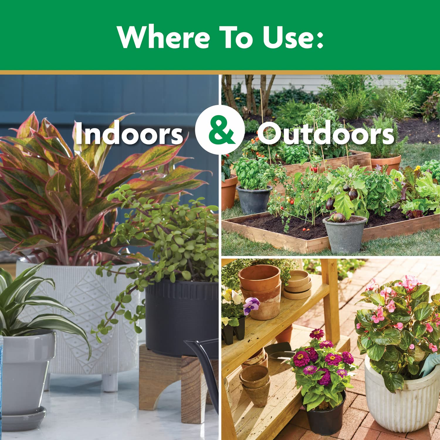 Miracle-Gro boosts flowers and roses with vibrant blooms