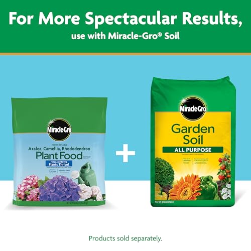 Healthy green leaves and budding blooms with Miracle-Gro feeding.