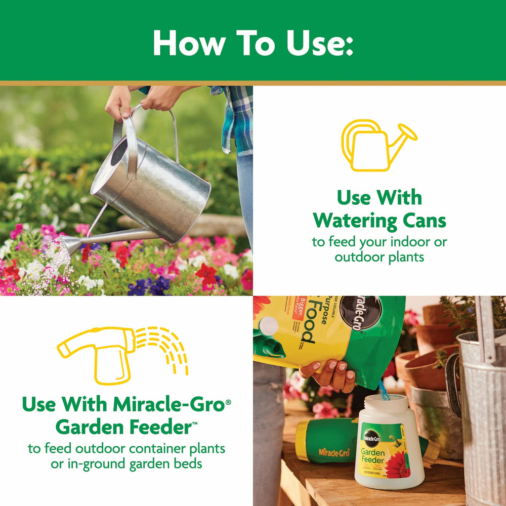 Miracle-Gro nourishes houseplants for healthier leaves