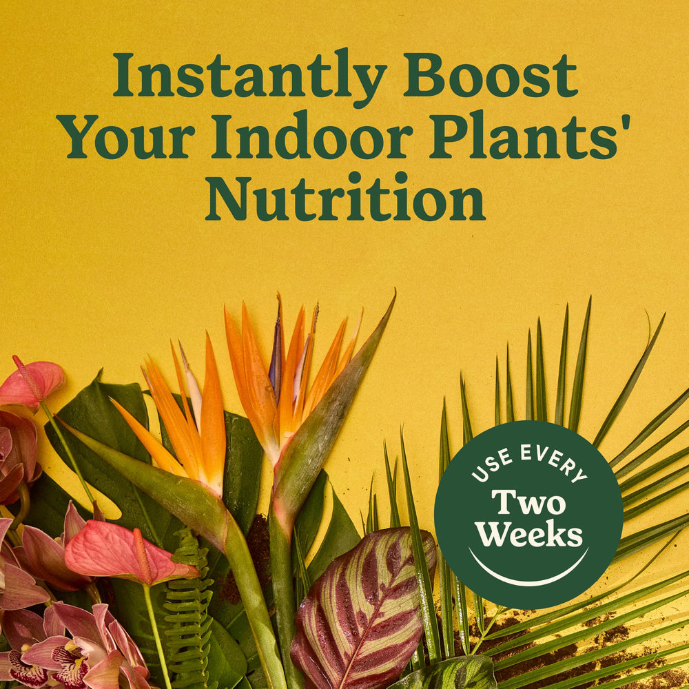 Label and packaging of Miracle-Gro Indoor Plant Food for All Plants