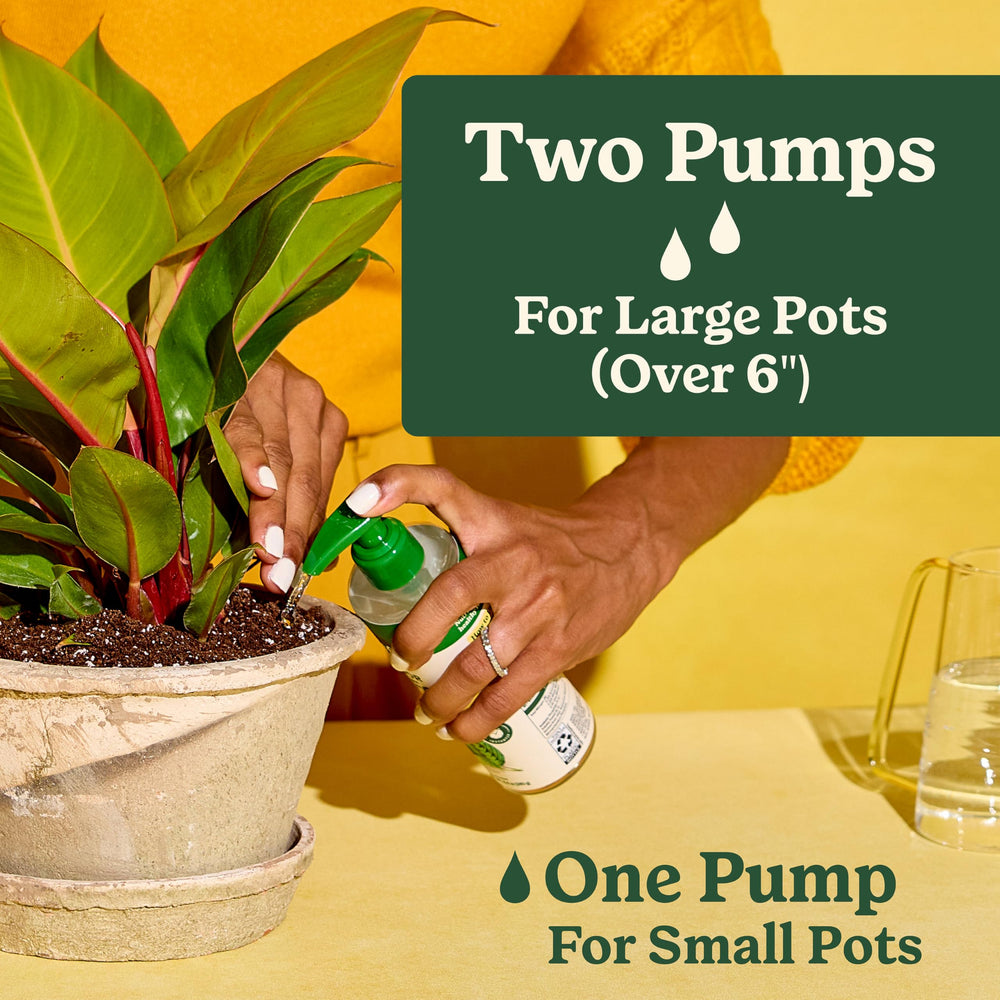 Two-bottle Miracle-Gro Indoor Plant Food for All Plants pack sits on a shelf