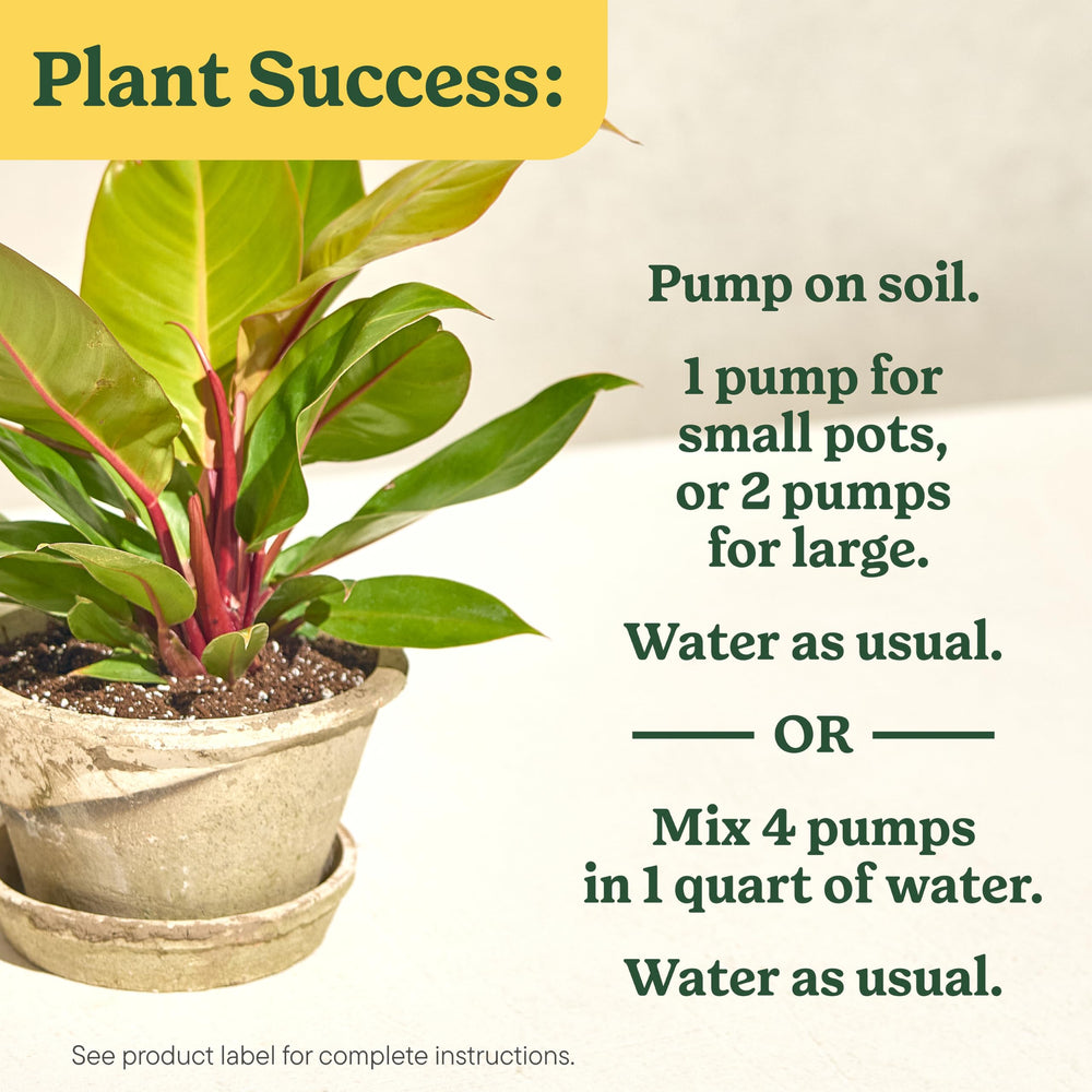Mixing the product with water to feed while watering