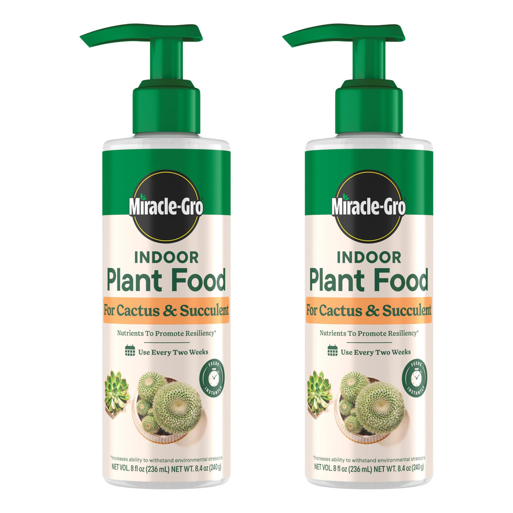 Miracle-Gro Indoor Plant Food bottle for cactus and succulent promotes healthy growth.