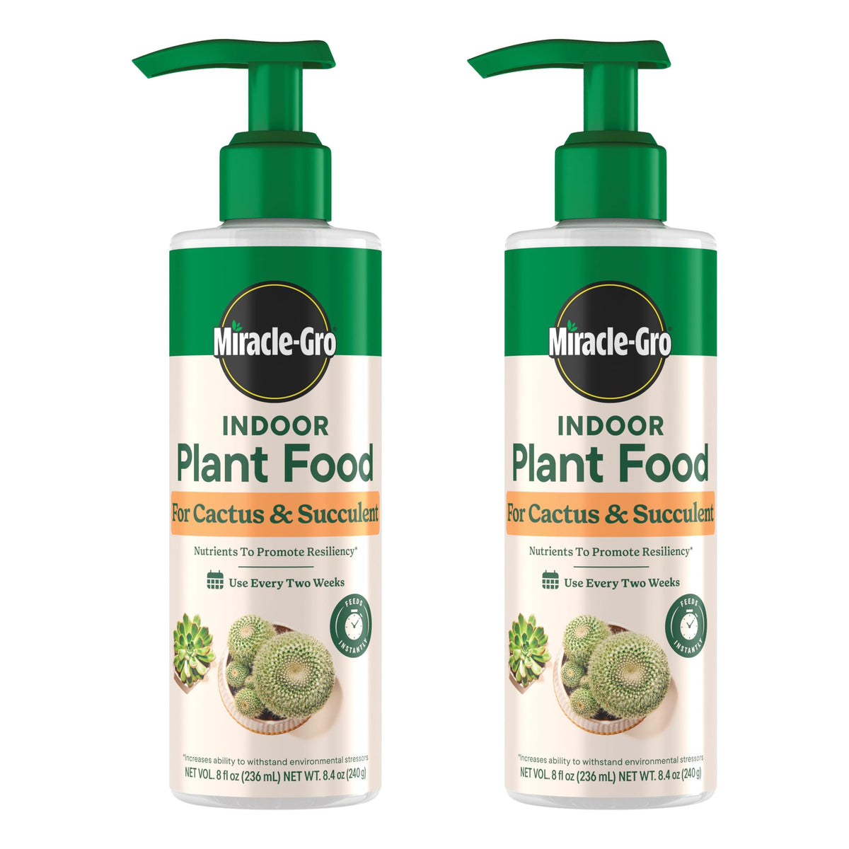 Miracle-Gro Indoor Plant Food bottle for cactus and succulent promotes healthy growth.