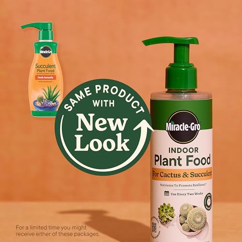Pouring Miracle-Gro Indoor Plant Food into water for succulents and cacti.