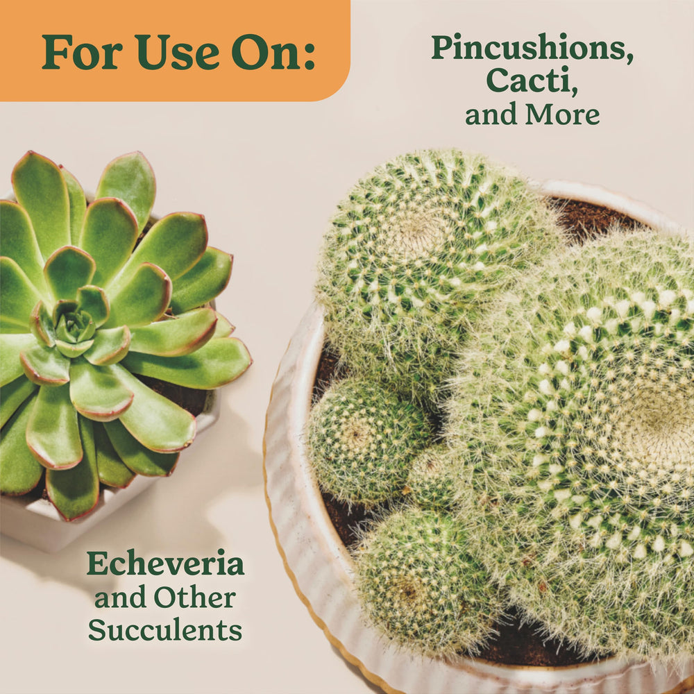 Dilution-ready Miracle-Gro mix for routine succulent care and easy watering.