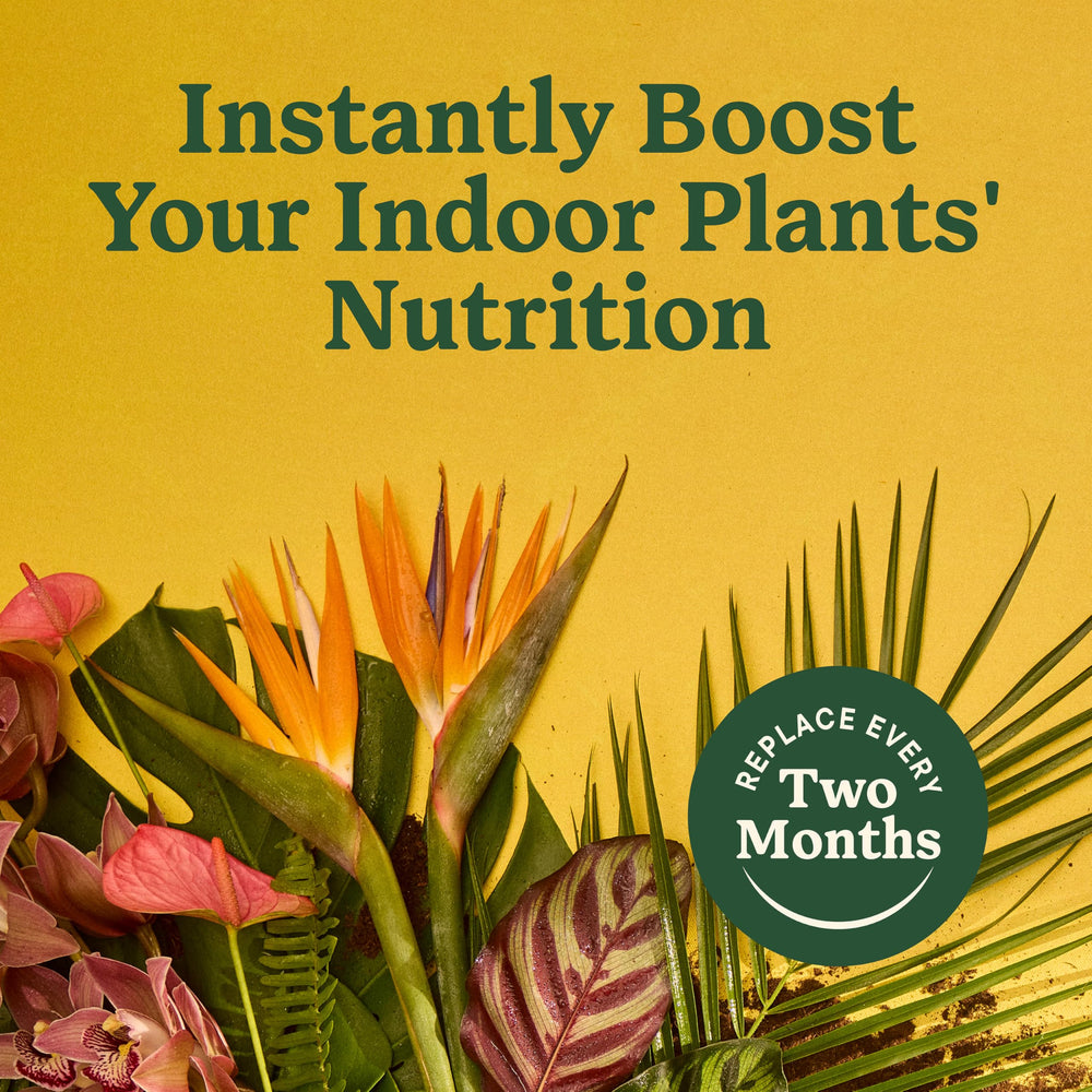 Spikes sized for 11-12 inch pots delivering broader plant nutrition