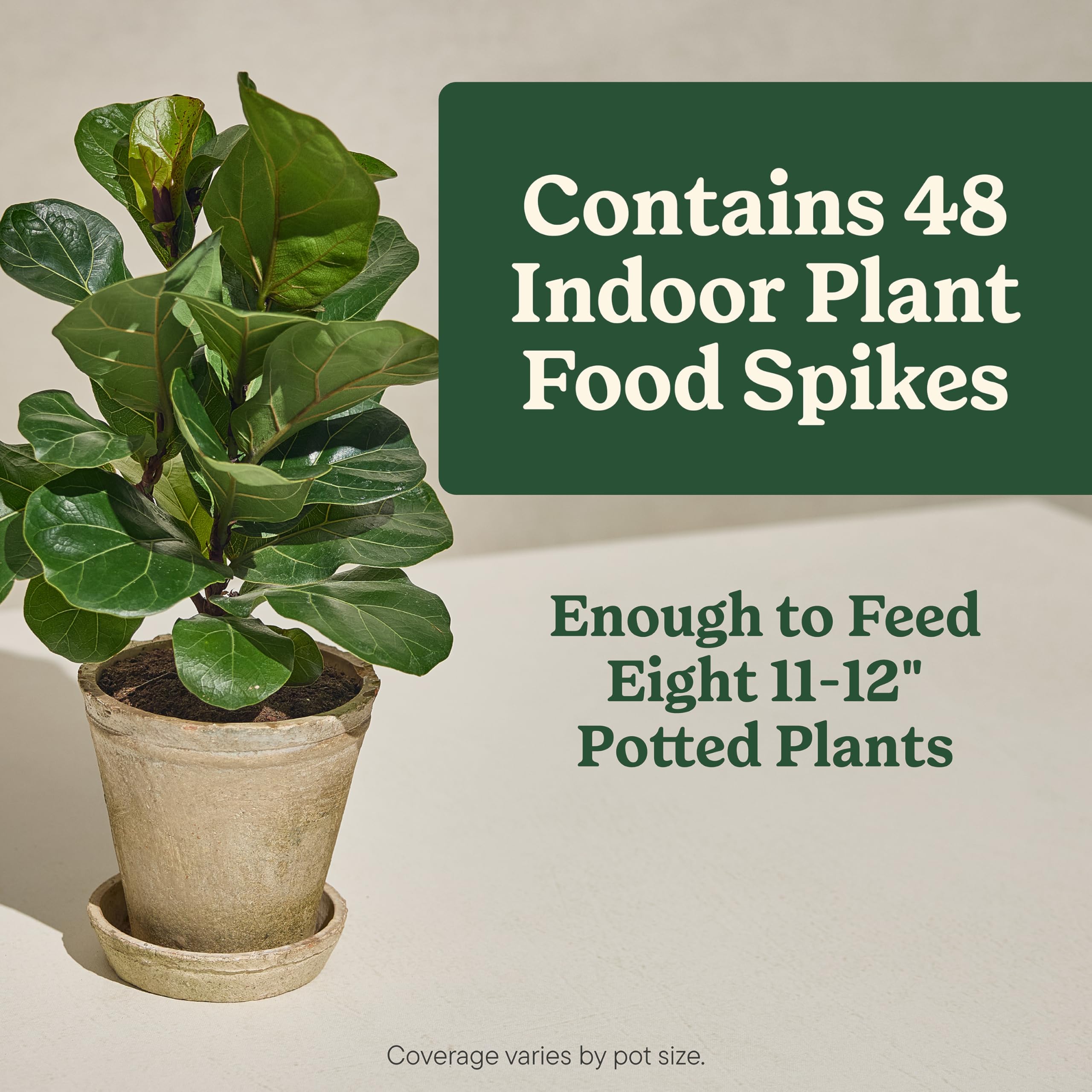 Miracle-Gro Indoor Plant Food Spikes provide up to two months of nutrition