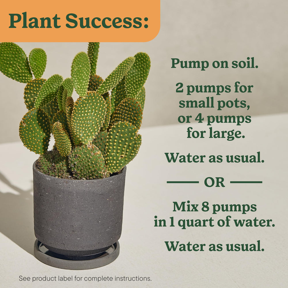 Feeding succulents with Miracle-Gro while watering for simplicity.