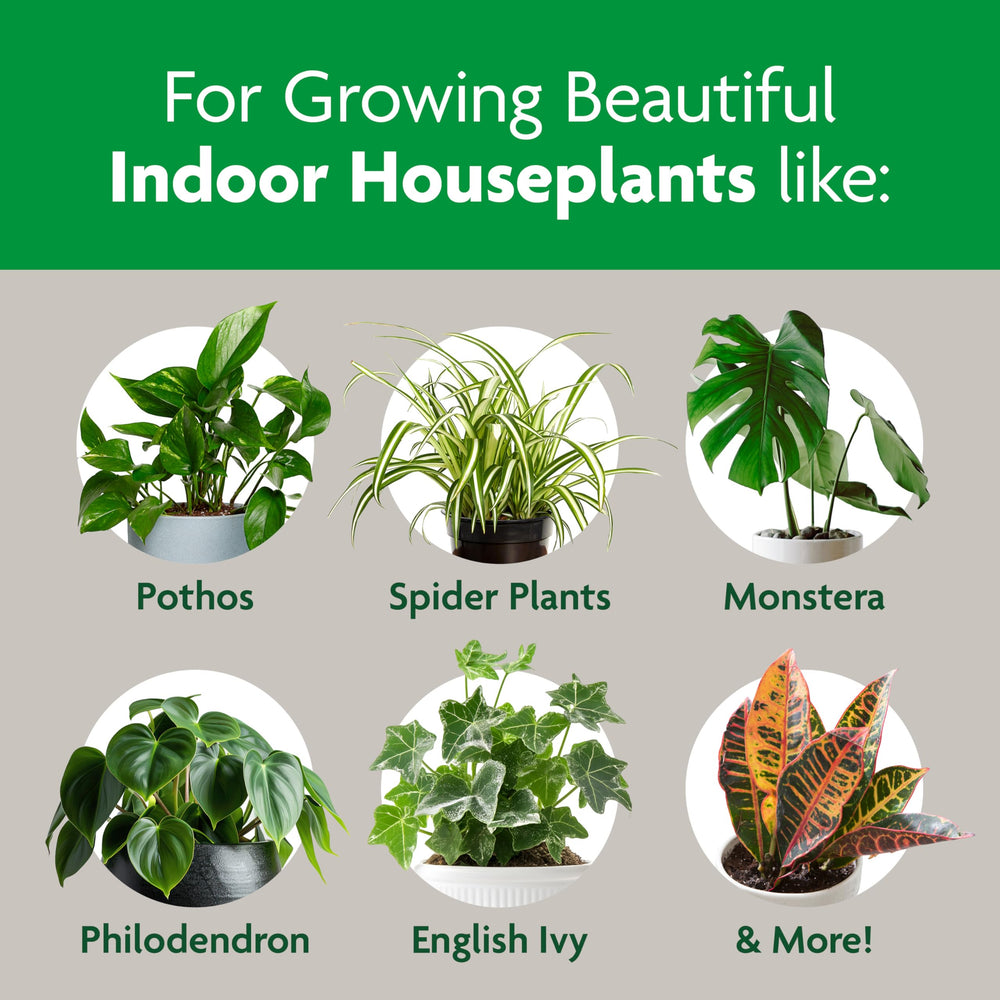 Miracle-Gro Indoor Potting Mix in-pot setup demonstrates quick planting
