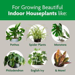 Miracle-Gro Indoor Potting Mix in-pot setup demonstrates quick planting