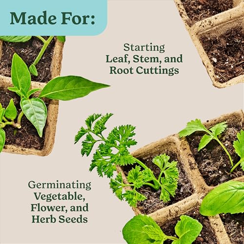 Miracle-Gro moisture-retaining mix helps keep seeds evenly hydrated