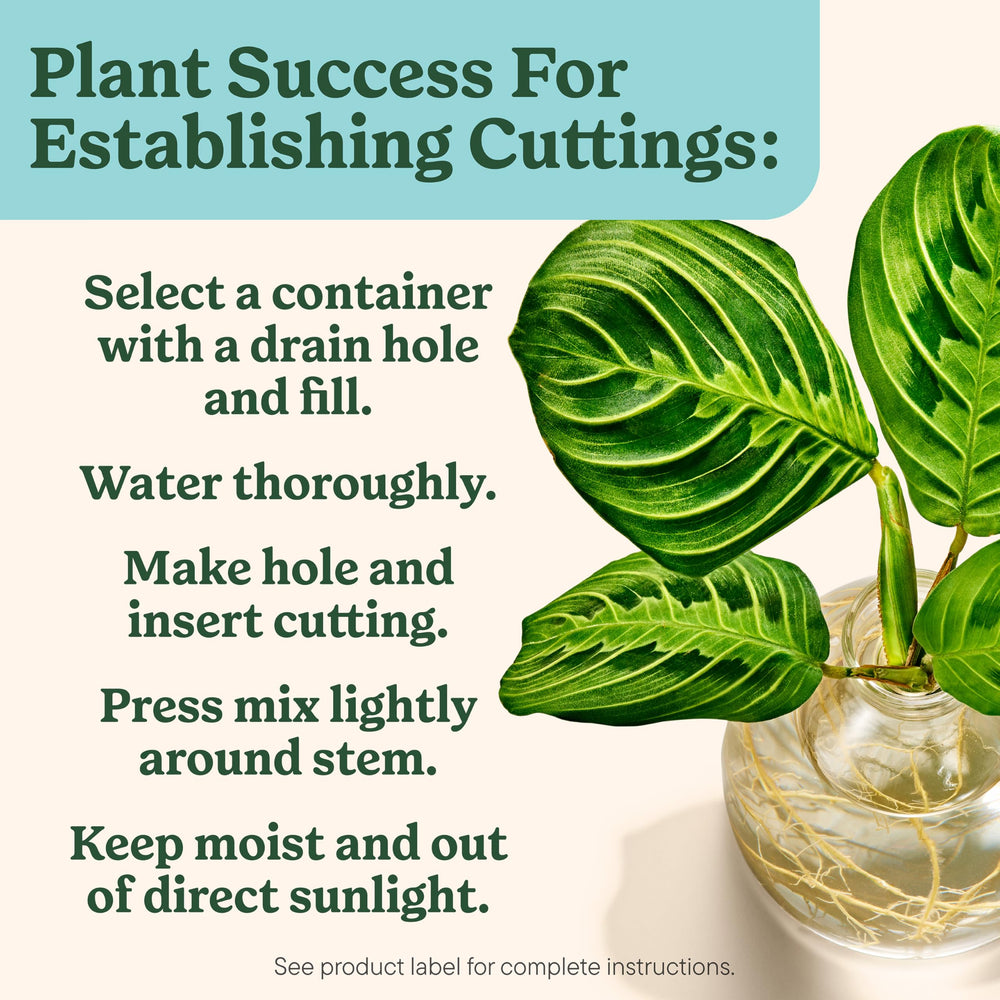 Miracle-Gro seed starting mix ideal for flowers germination and bright growth