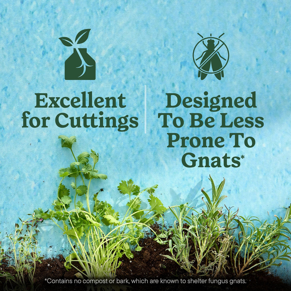 Miracle-Gro seed starting mix supports herb germination and vibrant sprouting