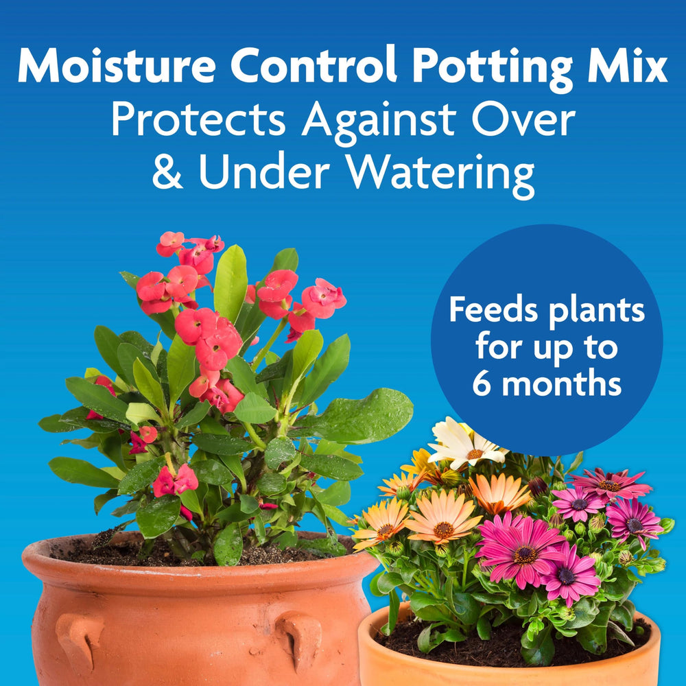 Miracle-Gro Moisture Control potting mix close-up highlighting rich texture for balanced watering.