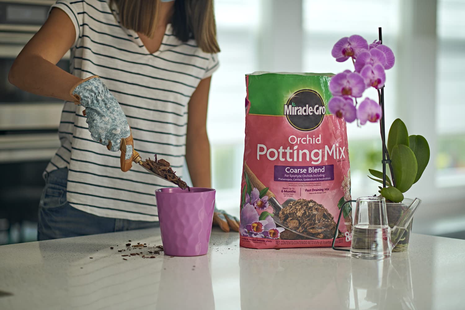 Miracle-Gro Orchid Potting Mix coarse blend demonstrates dry conditions for epiphytes