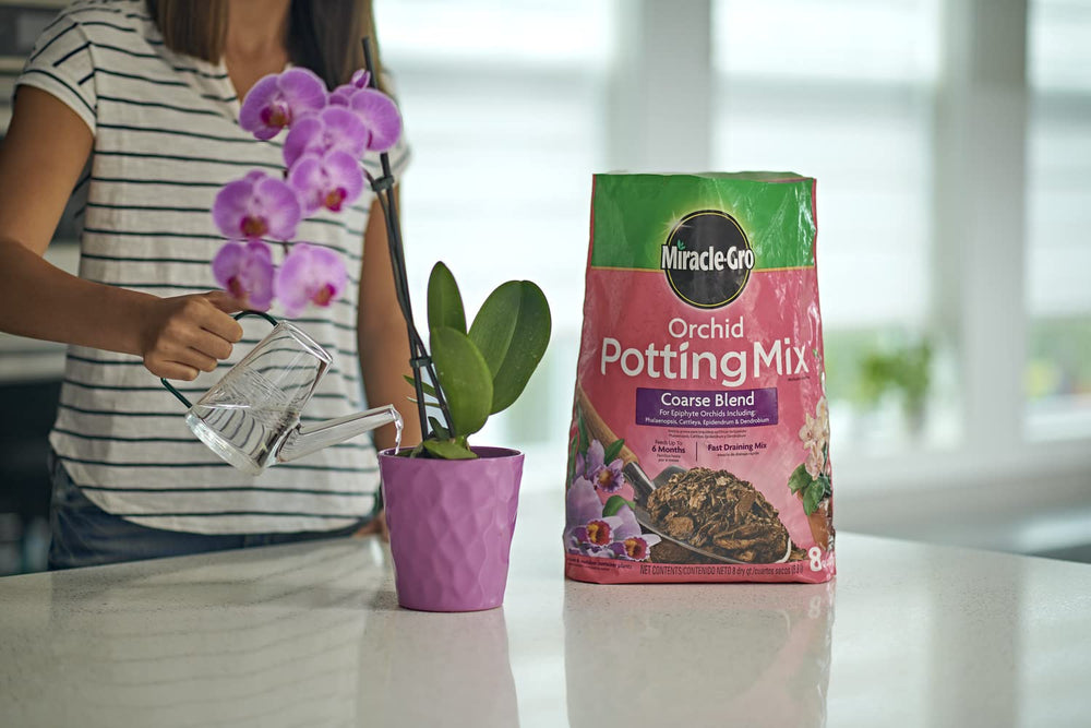 Miracle-Gro Orchid Potting Mix coarse blend supports Phalaenopsis and other epiphyte orchids