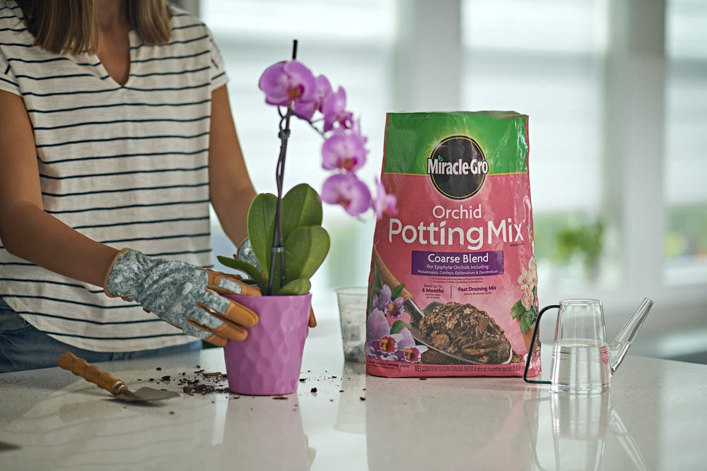 Miracle-Gro Orchid Potting Mix coarse blend with orchid feed for vibrant growth