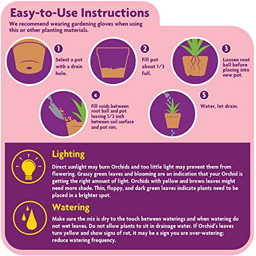 Miracle-Gro Orchid Potting Mix in orchid pot promoting healthy roots