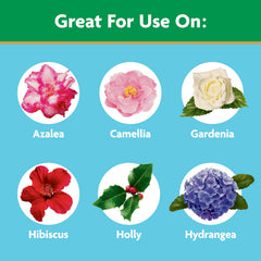 Outdoor garden feeder applying Miracle-Gro to shrubs and flowers.